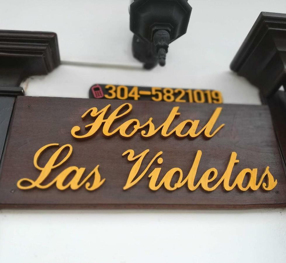 Hostal Las Violetas ハルディン エクステリア 写真